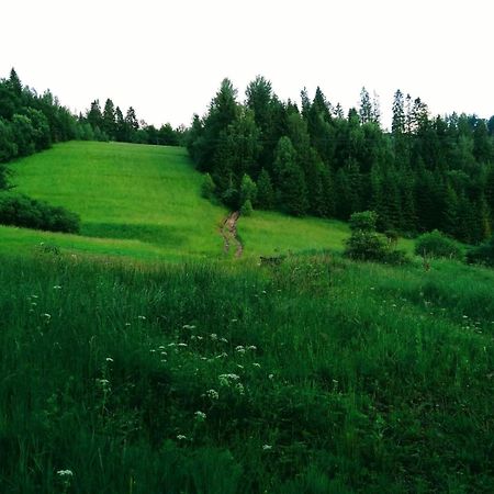 Domek W Gorach Pod Rysianka Zlatna Extérieur photo