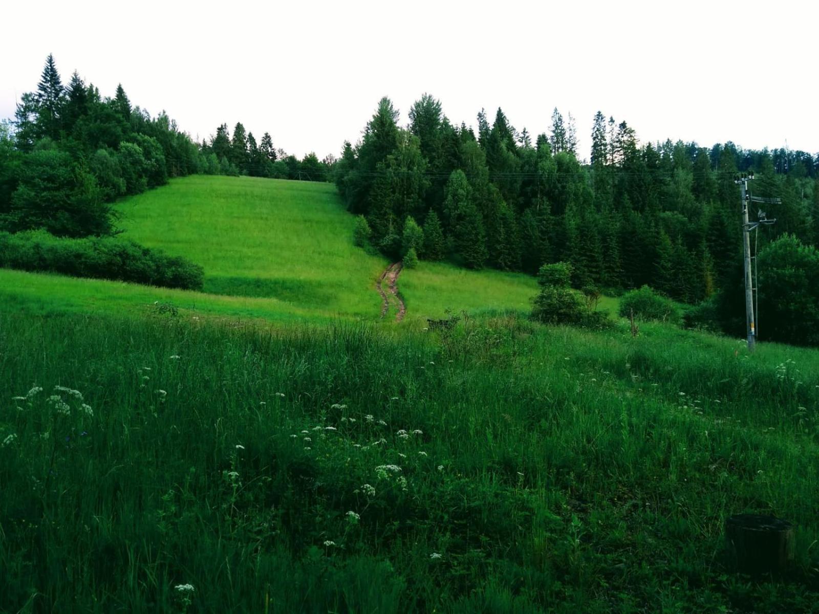 Domek W Gorach Pod Rysianka Zlatna Extérieur photo