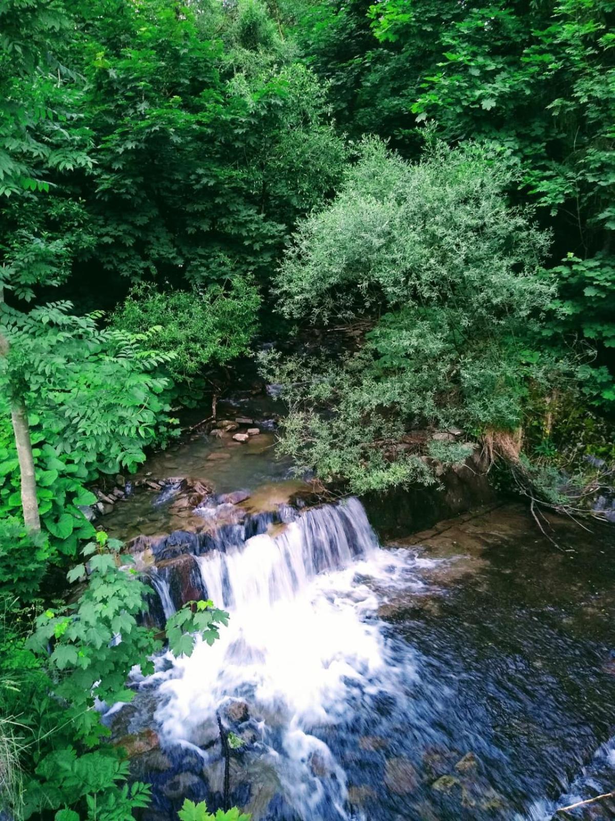 Domek W Gorach Pod Rysianka Zlatna Extérieur photo